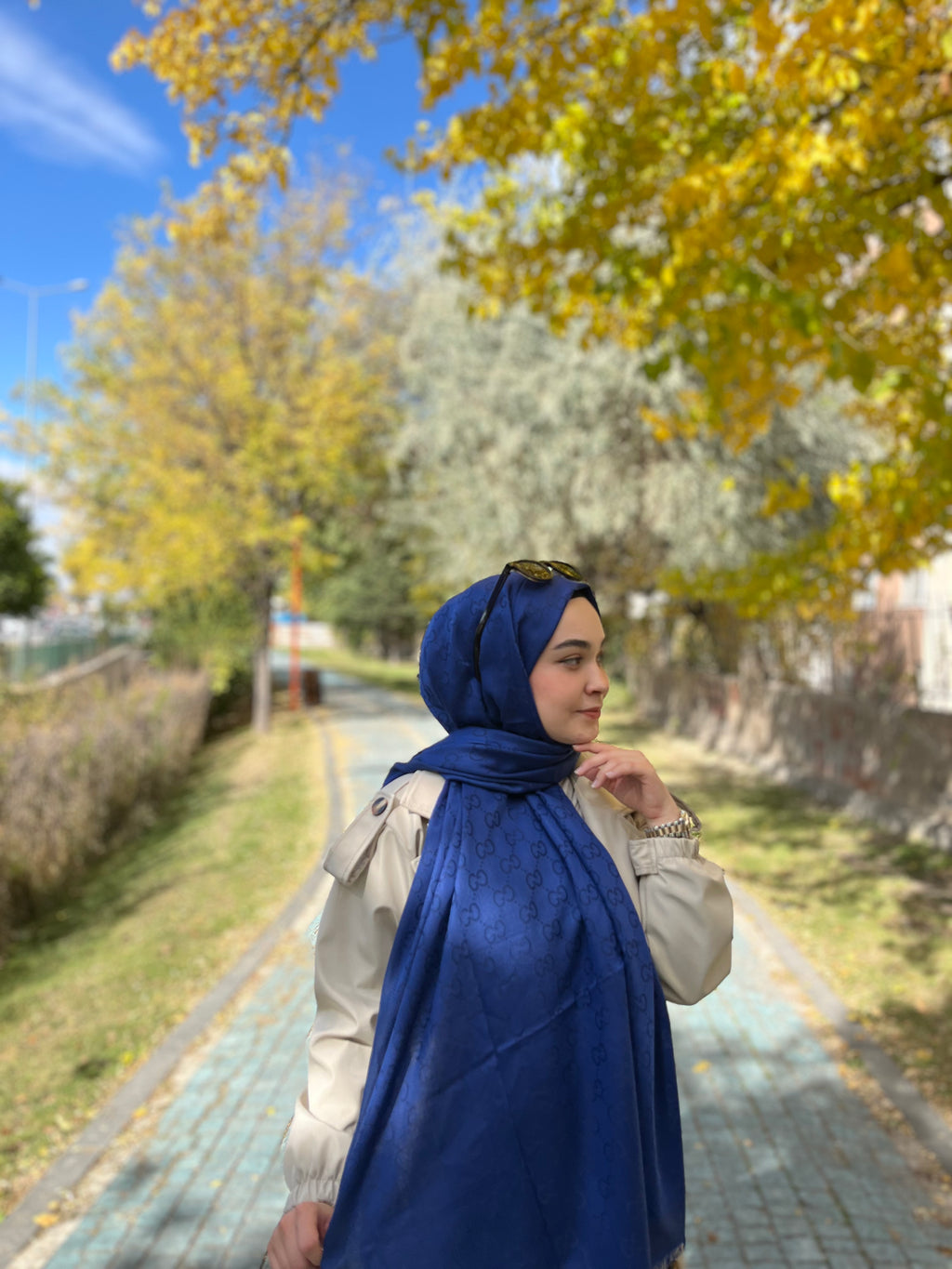 Kaşmir İpek Şal Saks