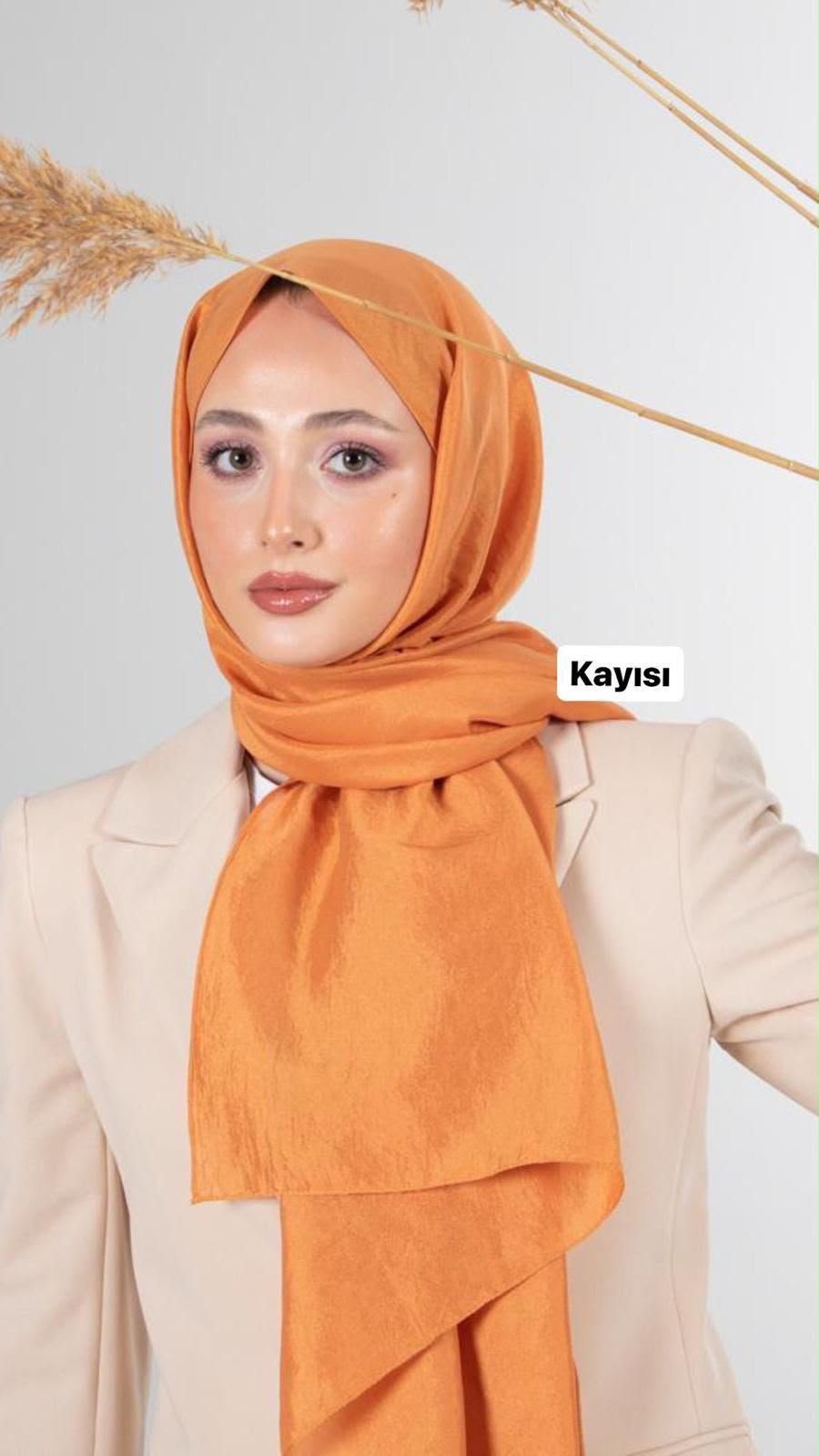 Yok Şal Kayısı